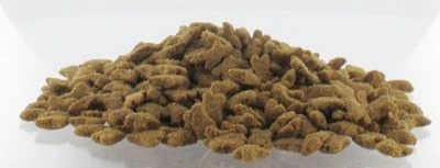 Cunipic Vet Line Furet Skin Support 2 Kg 2 Cunipic Vet Line Furet Skin Support 2 Kg – Image 2