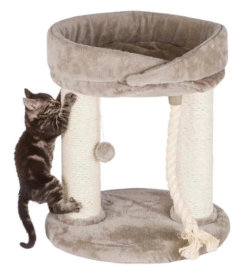 Trixie Arbre à Chat Marcela 60 Cm 2 Trixie Arbre à Chat Marcela 60 Cm – Image 2