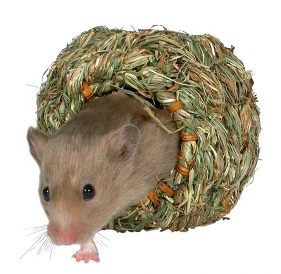 Trixie Nid En Herbe Pour Hamsters Et Souris 1 Trixie Nid En Herbe Pour Hamsters Et Souris