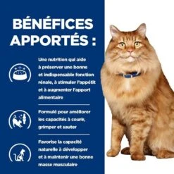 Hill's Prescription Diet Feline K/D + Mobility 1.5 Kg -Mini Zoo Soldes 52742044767 4 prescription diet chat k d mobility croquettes poulet 2 1
