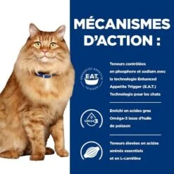 Hill's Prescription Diet Feline K/D + Mobility 1.5 Kg -Mini Zoo Soldes 52742044767 5 prescription diet chat k d mobility croquettes poulet 2 1
