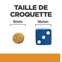 Hill's Prescription Diet Feline K/D + Mobility 3 Kg -Mini Zoo Soldes 52742044767 6 prescription diet chat k d mobility croquettes poulet 2