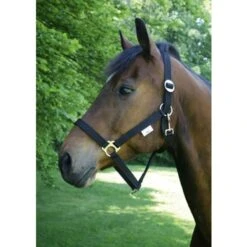 KERBL Licol Taille 5 - Trait