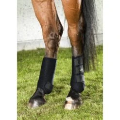 Back On Track Guêtre De Travail Postérieur S X 2 -Mini Zoo Soldes 8286295 2 1