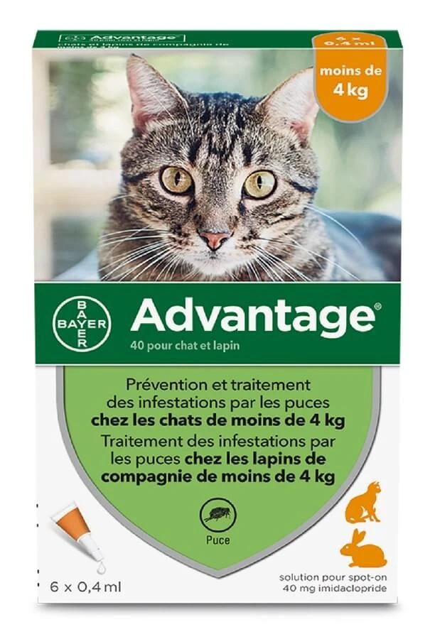 Advantage 40 Chat Et Lapin De 1 à 4 Kg 6 Pipettes