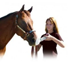 AeroHippus Pour Inhalateur Cheval -Mini Zoo Soldes aerohippus pour cheval2