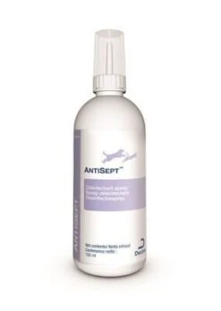 Antisept 100 Ml