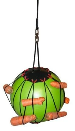 Balle à Jouer Thérapeutique Pour Chevaux -Mini Zoo Soldes balle box 4