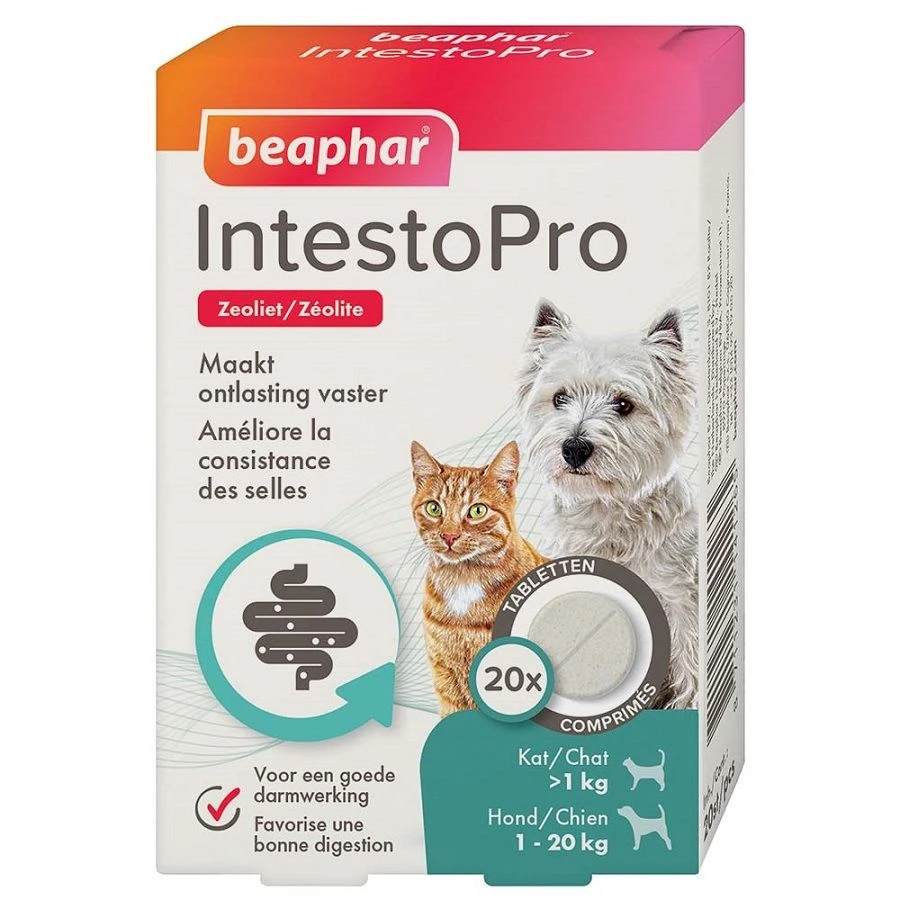 Beaphar IntestoPro Chat Chien < 20 Kg - 20 Cps 1 Beaphar IntestoPro Chat Chien < 20 Kg - 20 Cps