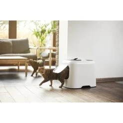 Rotho Maison De Toilette Biala Cappuccino -Mini Zoo Soldes biala 1 1