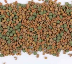 Care+ Cochon D'Inde 5 Kg -Mini Zoo Soldes care cochon d inde 5 kg3