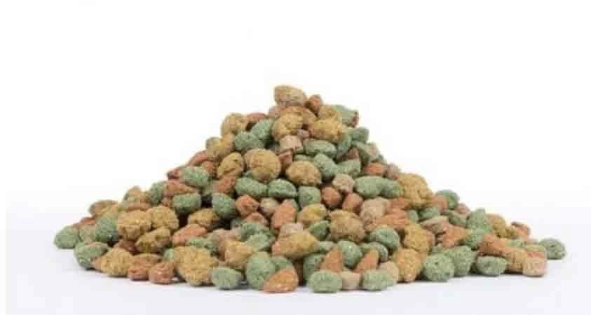 Care+ Lapin 5 Kg 2 Care+ Lapin 5 Kg – Image 2