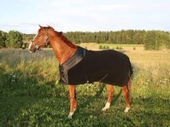 Chemise Polaire Supreme Back On Track 165 Cm - Destockage -Mini Zoo Soldes chemise polaire supreme back on track 2 4 2