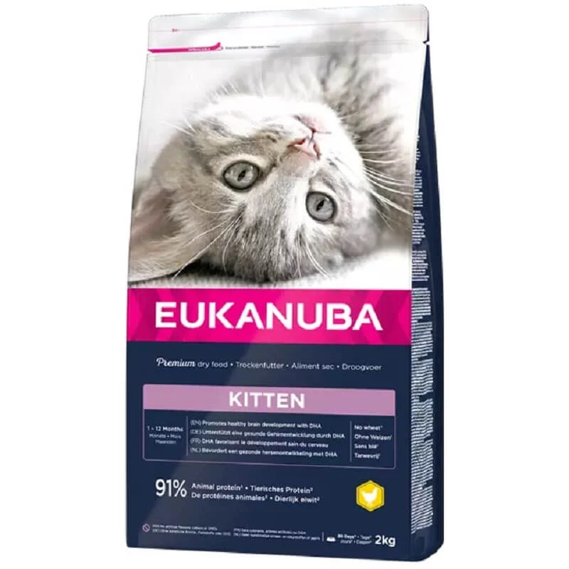Eukanuba Chaton Healthy Start Kitten 1-12 Mois 2 Kg 1 Eukanuba Chaton Healthy Start Kitten 1-12 Mois 2 Kg