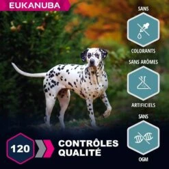 Eukanuba Chien Adult Grande Race Saumon & Orge 2.5 Kg - Destockage -Mini Zoo Soldes eukanuba chien adult grande race saumon orge 4
