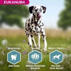 Eukanuba Chien Adult Grande Race Saumon & Orge 2.5 Kg - Destockage -Mini Zoo Soldes eukanuba chien adult grande race saumon orge 6