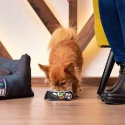 For Fan Pets Gamelle Star Wars M -Mini Zoo Soldes for fan pets gamelle star wars m 3