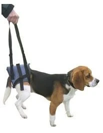 Harnais Handy Canis Pattes Arrières XS
