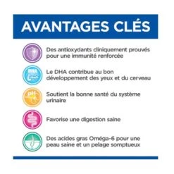 Hill's Science Plan VetEssentials Feline Kitten Growth AB+ Poulet 3 Kg 7 Hill's Science Plan VetEssentials Feline Kitten Growth AB+ Poulet 3 Kg -Mini Zoo Soldes hill s vetessentials feline kitten growth ab poulet 3 kg 3