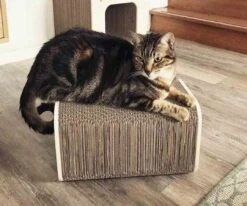 Homycat Griffoir Tour XL - Destockage -Mini Zoo Soldes homycat griffoir tour xl3