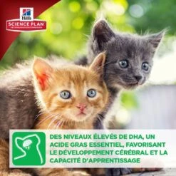 Hill's Science Plan Hill's Science Plan Feline Kitten Poulet 1,5 Kg -Mini Zoo Soldes kitten healthy development2 2 2