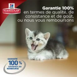 Hill's Science Plan Hill's Science Plan Feline Kitten Poulet 1,5 Kg -Mini Zoo Soldes kitten healthy development 6 2