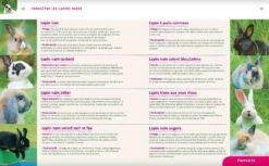 Livre - Lapins Nains -Mini Zoo Soldes lapins nains3