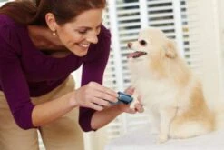 Oster® Mini Tondeuse Sans Fil Oster -Mini Zoo Soldes ostermini demo 1