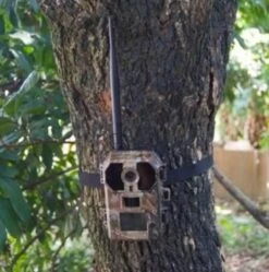 Piège Photographique PIE1010 9 Piège Photographique PIE1010 -Mini Zoo Soldes p3 1