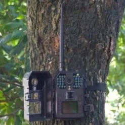 Piège Photographique PIE1010 8 Piège Photographique PIE1010 -Mini Zoo Soldes p4 1