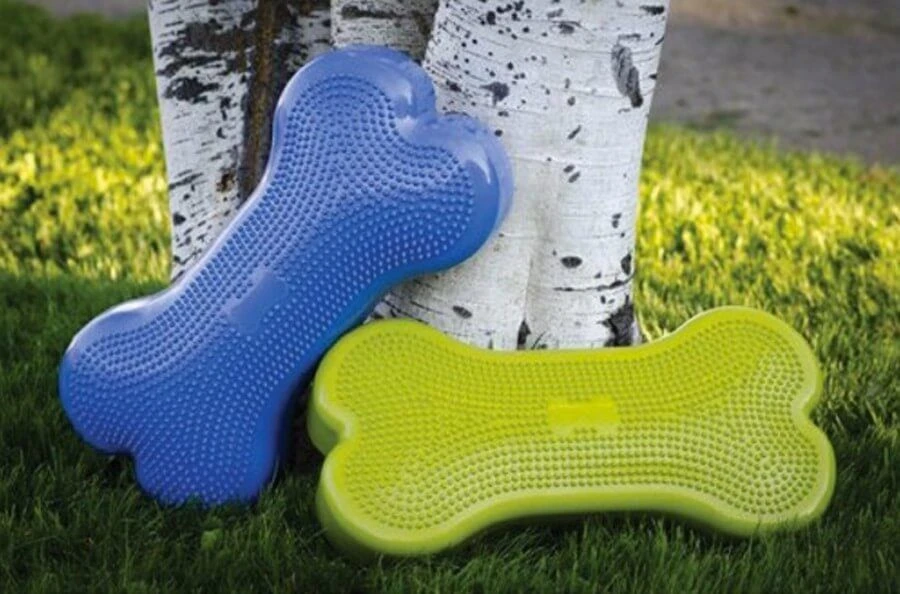 Plateforme Os Fitpaws Pour Chien 2 Plateforme Os Fitpaws Pour Chien – Image 2