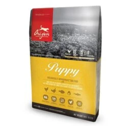 Nouvelles Arrivées -Mini Zoo Soldes puppy 6