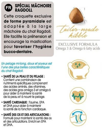 Royal Canin Chat Adult Ragdoll 2 Kg 4 Royal Canin Chat Adult Ragdoll 2 Kg – Image 4