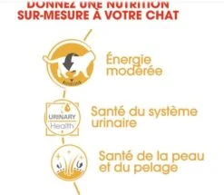 Royal Canin British Shorthair Adult 12 X 85 G -Mini Zoo Soldes royal canin british shorthair adult 12 x 85 g3