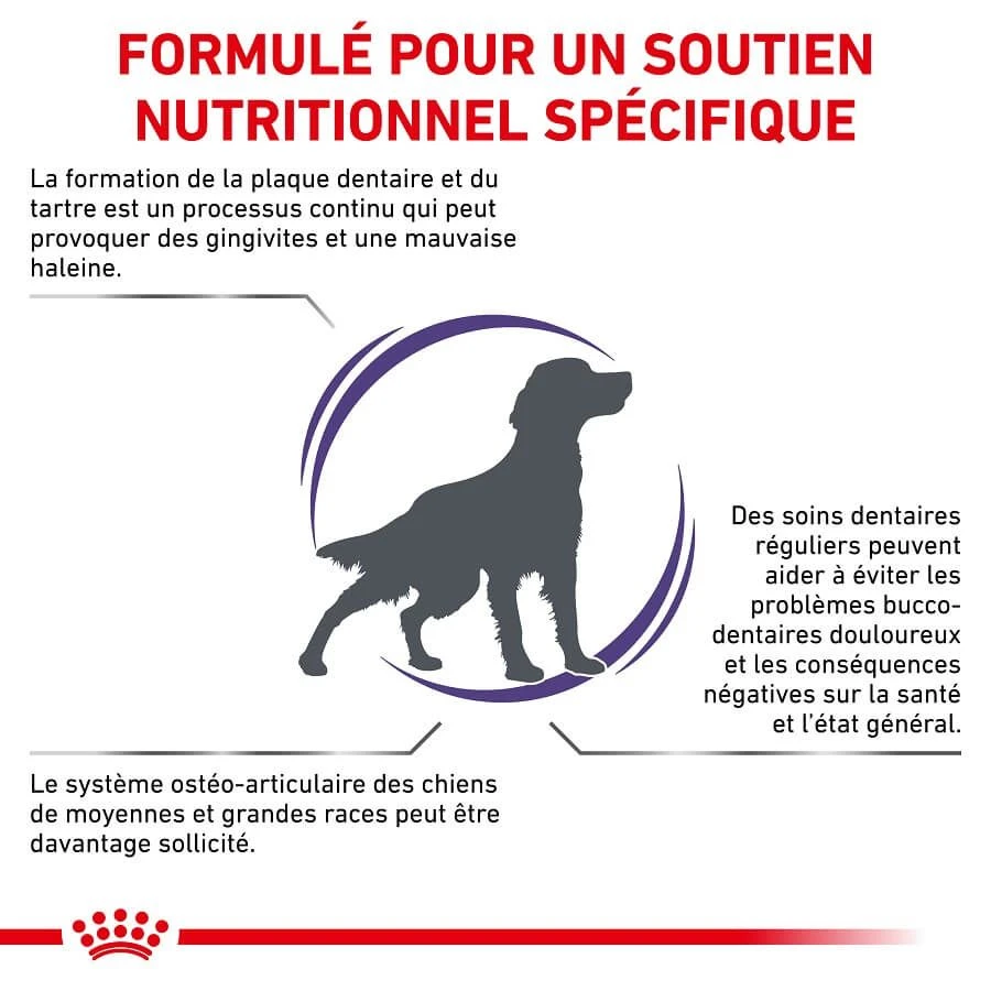 Royal Canin Vet Chien Dental 6 Kg 2 Royal Canin Vet Chien Dental 6 Kg – Image 2