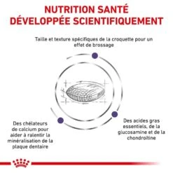 Royal Canin Vet Chien Dental 6 Kg 9 Royal Canin Vet Chien Dental 6 Kg -Mini Zoo Soldes royal canin vet chien dental 6 kg 3