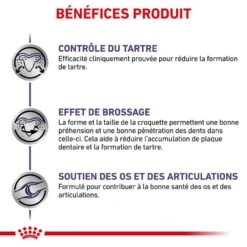 Royal Canin Vet Chien Dental 6 Kg 10 Royal Canin Vet Chien Dental 6 Kg -Mini Zoo Soldes royal canin vet chien dental 6 kg 4