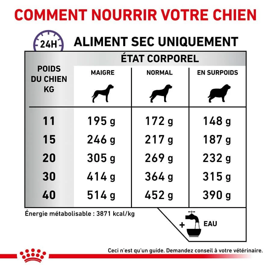 Royal Canin Vet Chien Dental 6 Kg 5 Royal Canin Vet Chien Dental 6 Kg – Image 5