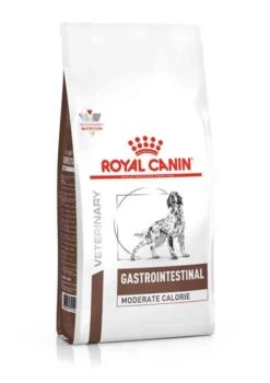 Royal Canin Vet Chien Gastrointestinal Moderate Calorie 15 Kg