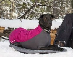 Veste Ruffwear Powder Hound Bleue XL -Mini Zoo Soldes ruffwear manteau hiver powder hound rose 1 1 1 1 1