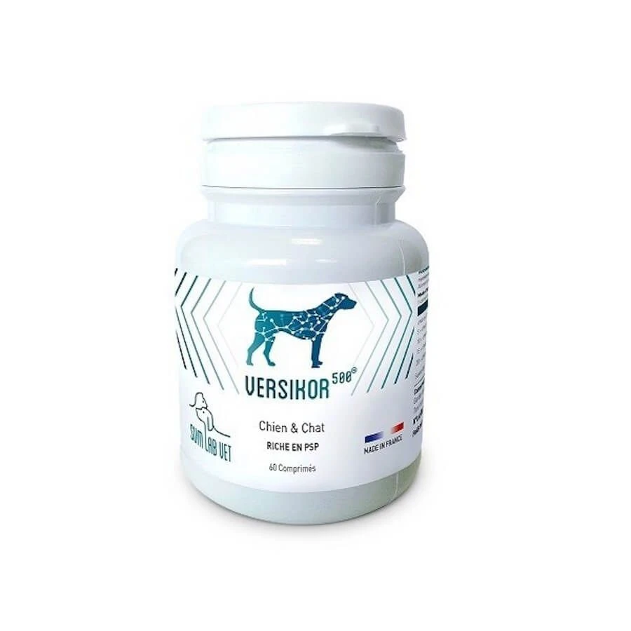 Versikor 500 Chien Et Chat 180 Cps 2 Versikor 500 Chien Et Chat 180 Cps – Image 2