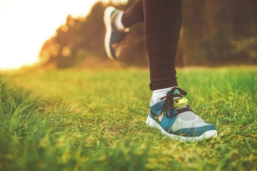 Tickless Run Rechargeable 3 Tickless Run Rechargeable – Image 3