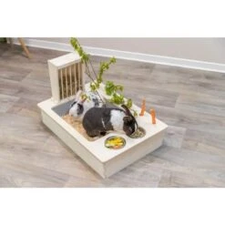 Trixie Station Mangeoire Pour Rongeurs 70 X 41 X 47 Cm -Mini Zoo Soldes trixie station mangeoire pour rongeurs 70 x 41 x 47 cm 10