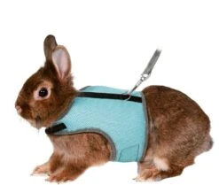 Trixie Harnais Soft Avec Laisse Pour Rongeur 14-19 Cm