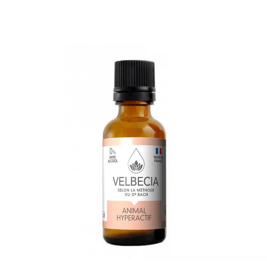 Velbecia Fleurs De Bach Animal Hyperactif 30 Ml 1 Velbecia Fleurs De Bach Animal Hyperactif 30 Ml